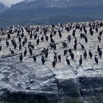 Photo taken by Mike C