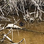 Photo taken by Meggan M