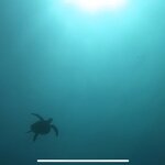 Photo taken by Stephanie A