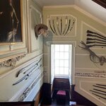 Photo taken by Marcos M