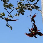 Photo taken by Morton A