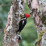 Photo taken by Graeme W