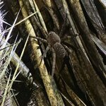 Photo taken by Sangeetha R