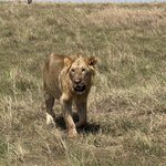 Photo taken by Gabrielle A