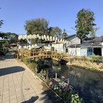 Photo taken by Megan H