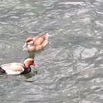 Photo taken by Jennifer S