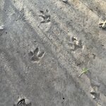 Photo taken by Breann B