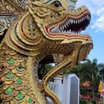 Photo taken by sarah p