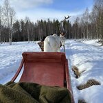 Photo taken by Bethany G