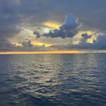 Photo taken by Cindy H