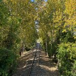 Photo taken by Chris K