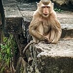 Photo taken by Karen S