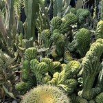 Photo taken by Lori S