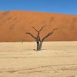 Photo taken by Sandro P