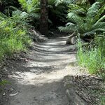 Photo taken by Amy Z