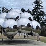 Photo taken by Kirti P