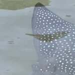 Photo taken by Gary W