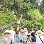 Photo taken by Chris T