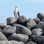 Photo taken by mimi s