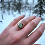 Photo taken by Caitlin P