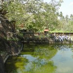 Photo taken by Alfred T