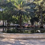 Photo taken by Tom K