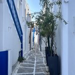 Photo taken by Felice Z