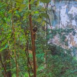 Photo taken by Vicky V