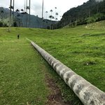 Photo taken by Sophie E