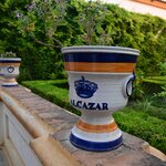 Photo taken by Huy T