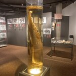 Photo taken by Arundhati G