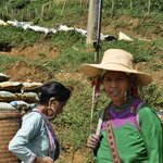 Photo taken by κατερινα κ