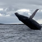 Photo taken by Maggie K