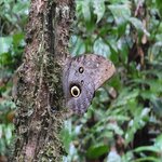 Photo taken by Jeff G