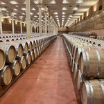 Photo taken by Kristi L