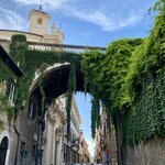 Photo taken by Becky M