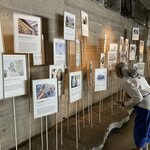 Photo taken by Catherine M