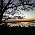 Photo taken by Kaye D