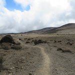 Photo taken by Kristin M