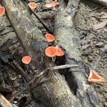 Photo taken by Anna L