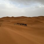 Photo taken by Vivianh H