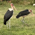 Photo taken by Michael L