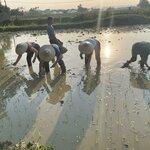 Photo taken by Jayne S