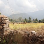 Photo taken by Katherine J