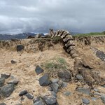 Photo taken by Deann M