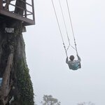 Photo taken by Tom K