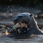 Photo taken by Matt W