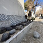 Photo taken by Reid S