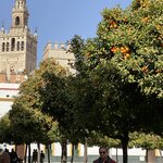 Photo taken by Rosario A