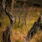 Photo taken by timothy m